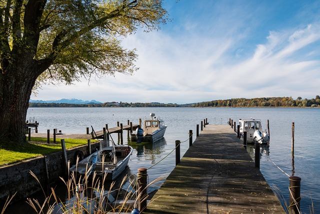 尽管佐科维 尽管佐科维