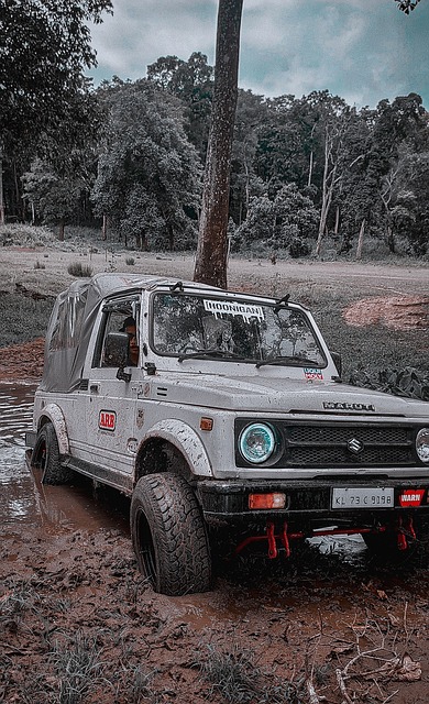 育运动的发 育运动的发