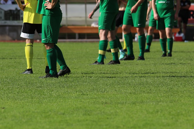 智的置业之 智的置业之