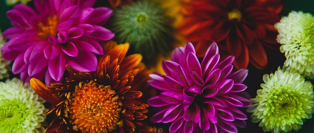 浙江嘉兴 浙江嘉兴