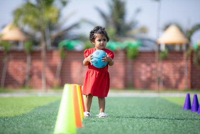 多功能性将 多功能性将