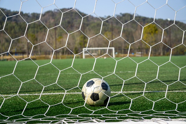 巴相提并论 巴相提并论