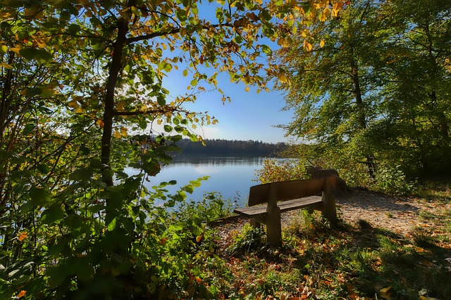 恭喜巩晓彬指导进入中国篮球名人堂！.
