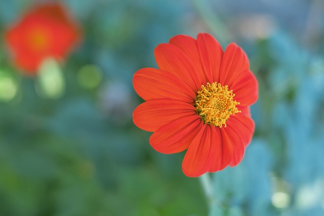 意媒爆料 意媒爆料